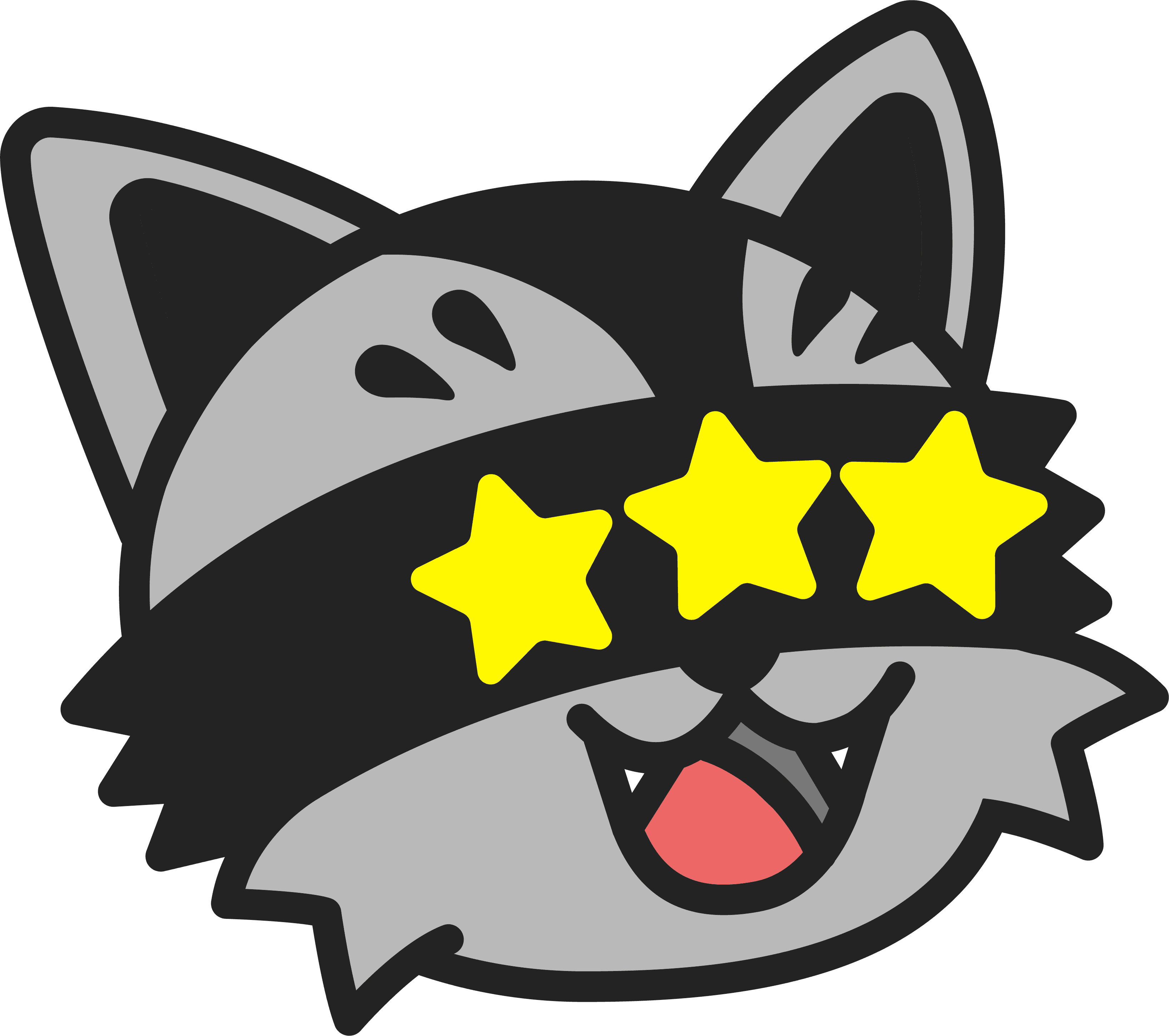 Hunter, the TANOOOKI raccoon, with starry eyes