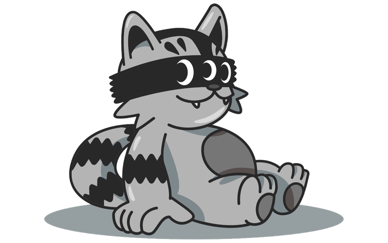 Hunter, the TANOOOKI raccoon, sitting and blinking